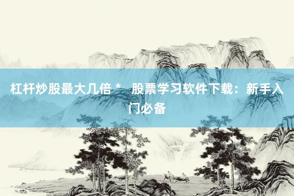 杠杆炒股最大几倍 *   股票学习软件下载：新手入门必备
