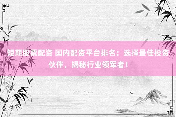 短期股票配资 国内配资平台排名：选择最佳投资伙伴，揭秘行业领军者！