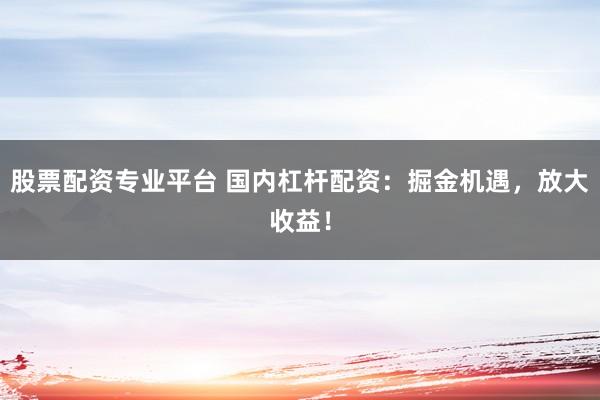 股票配资专业平台 国内杠杆配资：掘金机遇，放大收益！