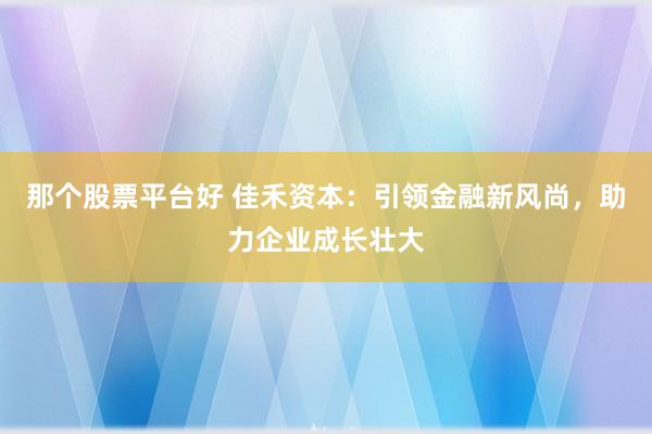 那个股票平台好 佳禾资本：引领金融新风尚，助力企业成长壮大
