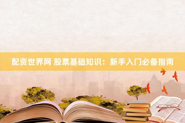配资世界网 股票基础知识：新手入门必备指南