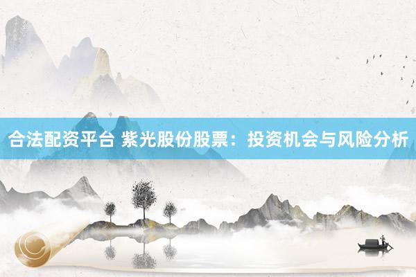合法配资平台 紫光股份股票：投资机会与风险分析