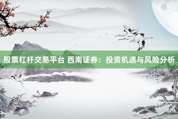 股票杠杆交易平台 西南证券：投资机遇与风险分析