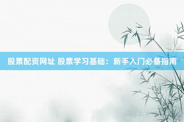 股票配资网址 股票学习基础：新手入门必备指南