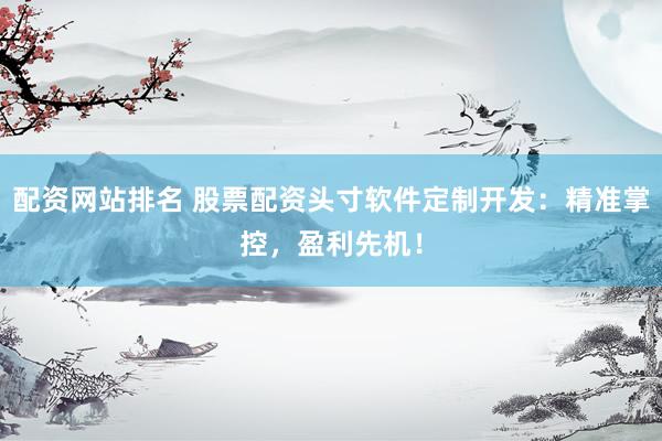 配资网站排名 股票配资头寸软件定制开发：精准掌控，盈利先机！