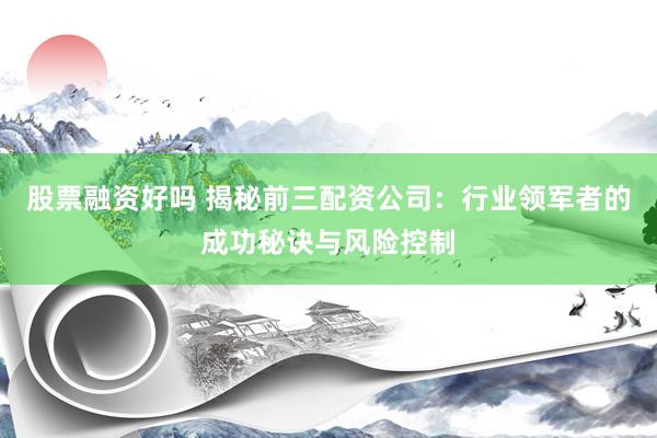 股票融资好吗 揭秘前三配资公司：行业领军者的成功秘诀与风险控制